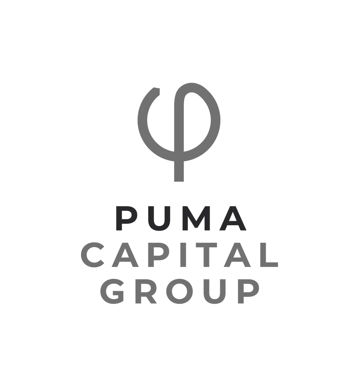 Puma Capital Group_UK1_GB_6a3e3c065428d0bca5245a74_logo
